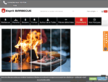 Tablet Screenshot of esprit-barbecue.fr